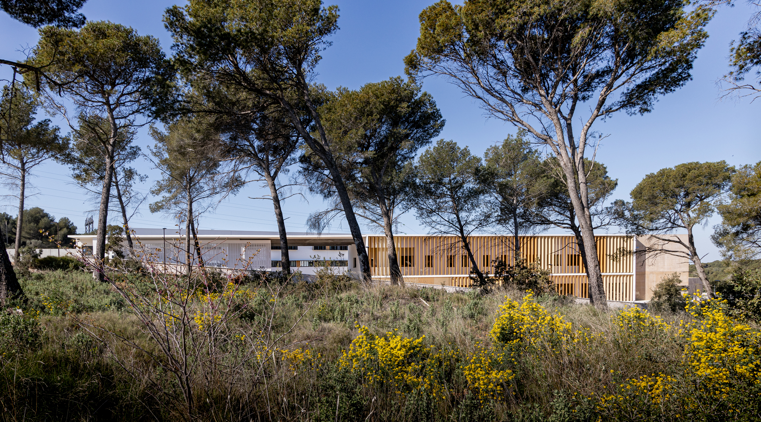 COLLEGE MARCEL PAGNOL